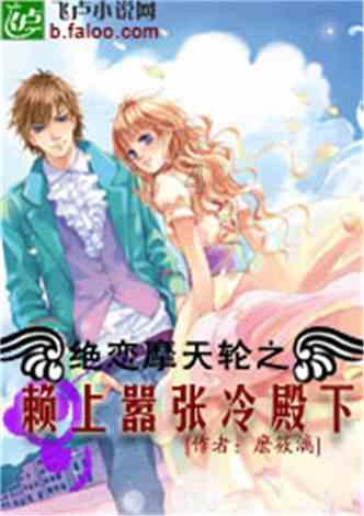 完美的收藏品